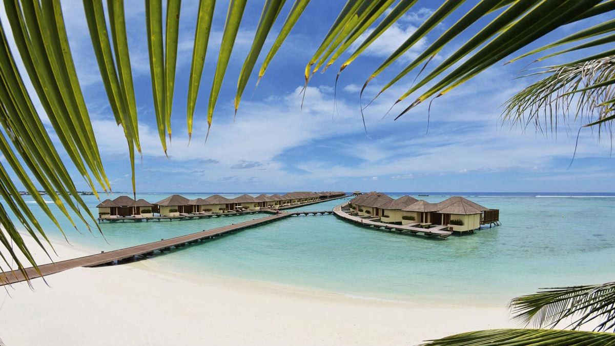 Paradise Island Resort & SPA - plaża