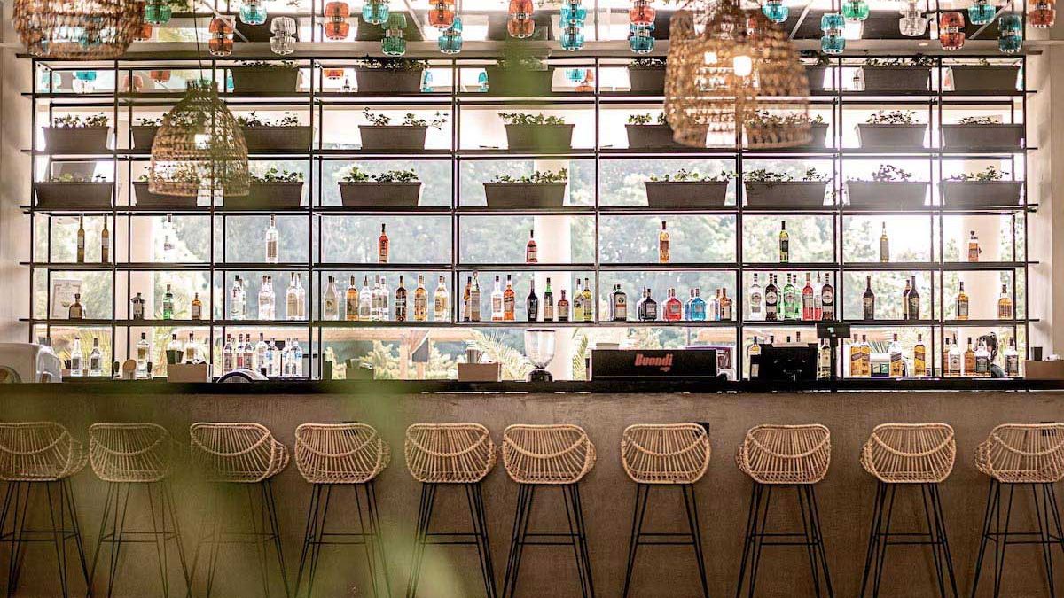 Cook's Club Sunny Beach - bar