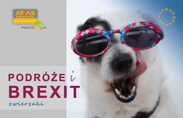 Brexit Podr&oacute;że Zwierzęta UK EU