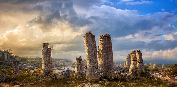 Bulgaria_wyloty-uk_016_kamienny-las