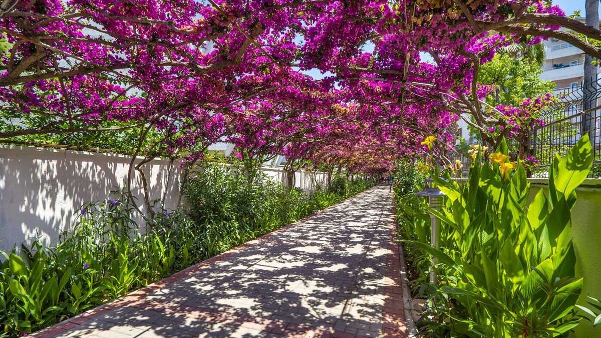 Hotel Alaiye Resort & SPA - ogr&oacute;d