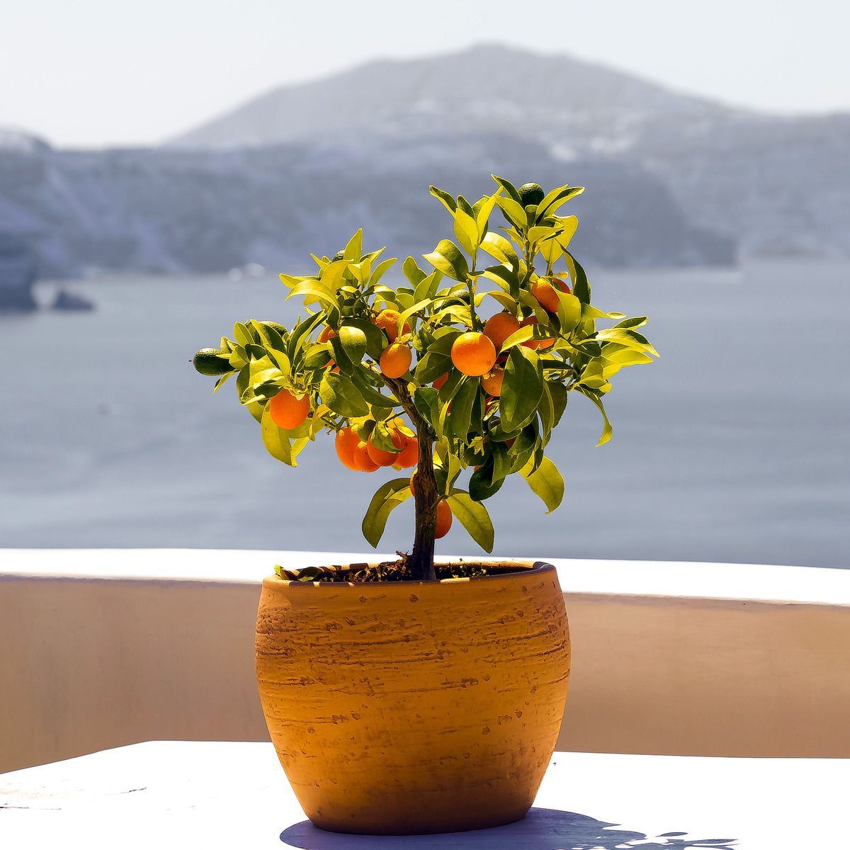 Grecja Santorini