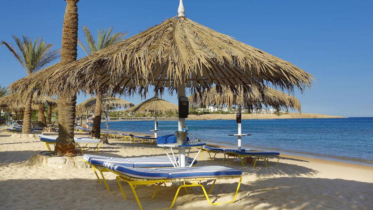 Jaz Sharm Dreams - plaża